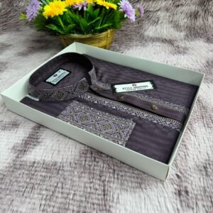 Sequence Embroidery Panjabi